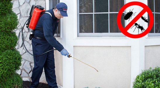 Bağlar Haşere İlaçlama böcek ilaçlama ve haşere kontrolü — ilaclama-tr.com